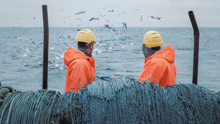 Two fishermen at work on a commercial fishing ship that pulls in a trawl net.