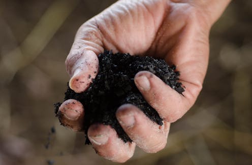 Biochar doesn’t just store carbon – it stores water and boosts farmers’ drought resilience