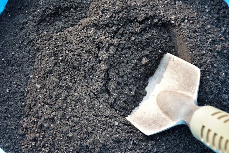 biochar