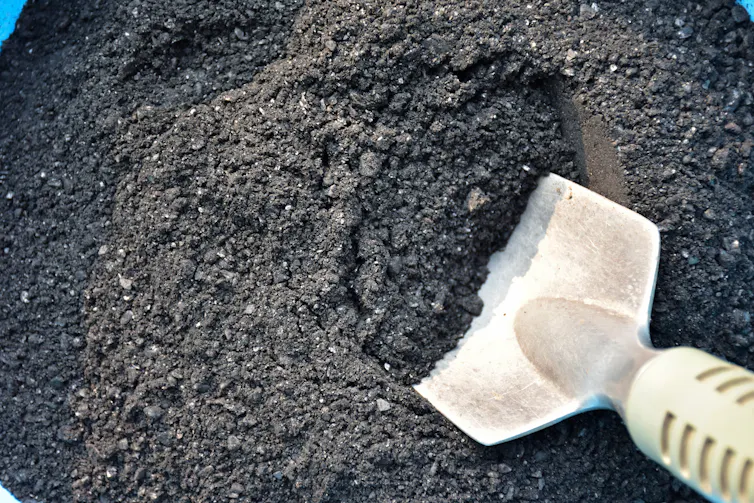 biochar