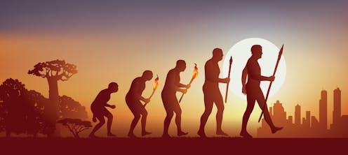 How light helped shape our skin colour, eyes and curly hair