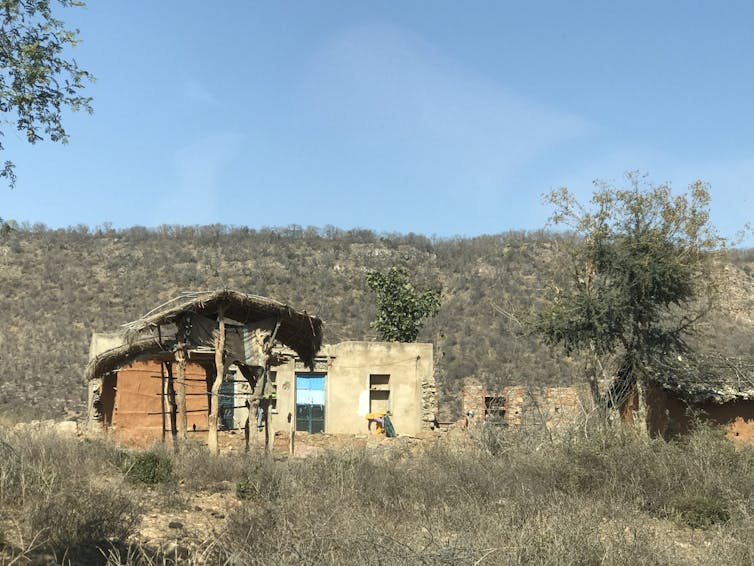 To save its tigers, India has relocated thousands of people – it could enlist their help instead 2 A house surrounded by grassland.