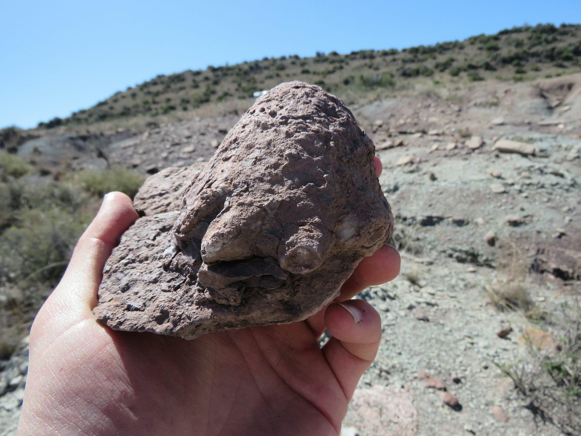 The author hand holding up what looks like a misshapen rock