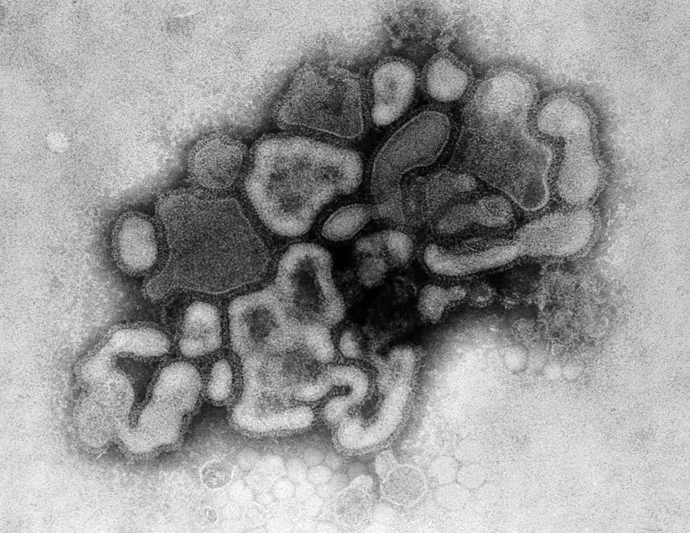 Preparing for a pandemic that never came ended up setting off another − how an accidental virus release triggered 1977's 'Russian flu'