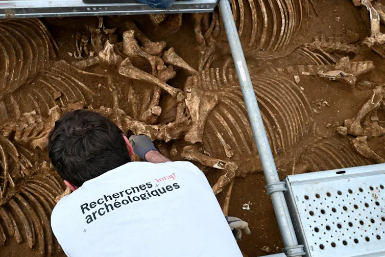 Vu de dos, un archéologue travaille au niveau de la tête d’un squelette