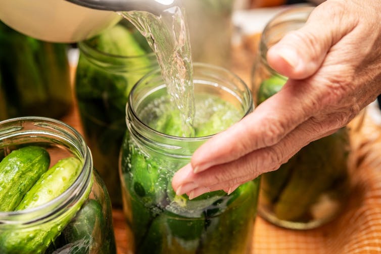 A person pouring brine into a jar of cucumbers for pickling.