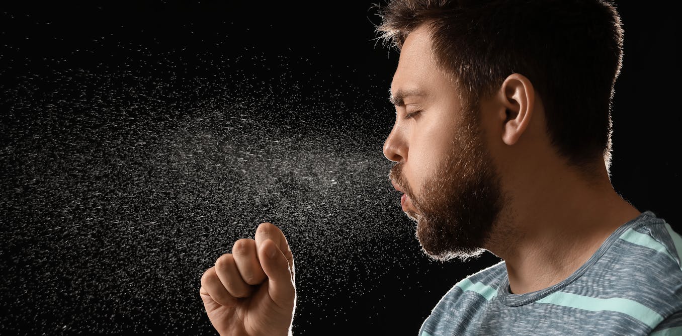 The role of carbon dioxide in airborne disease transmission: a hidden ...