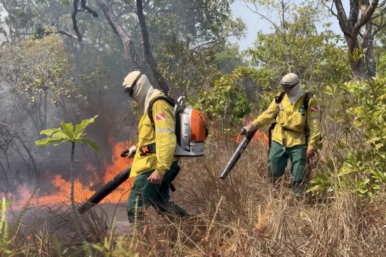 Foto mostra fogo numa mata e dois brigadistas, de roupas amarelas, máscaras e equipamentos nas costas, combatendo o fogo.