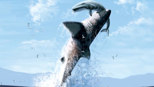 Giant shark megalodon was the most powerful superpredator ever. Why did it go extinct?
