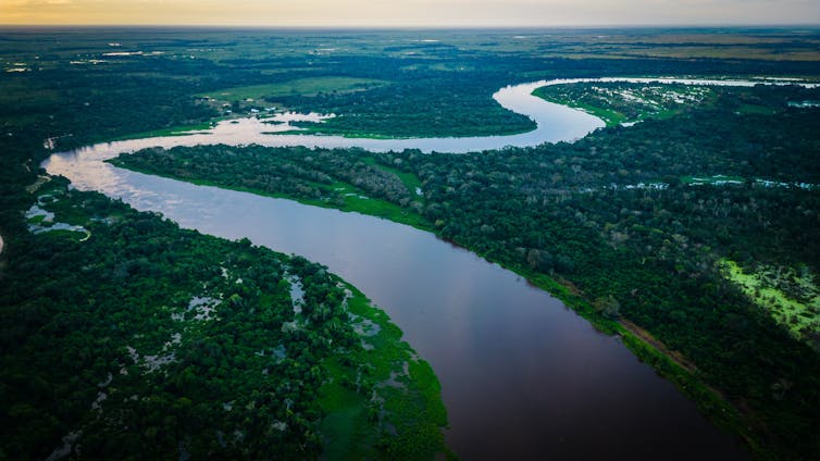 Río y humedales en Brasil