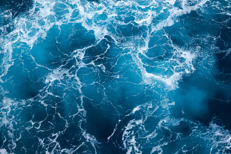 A frothy sea surface.