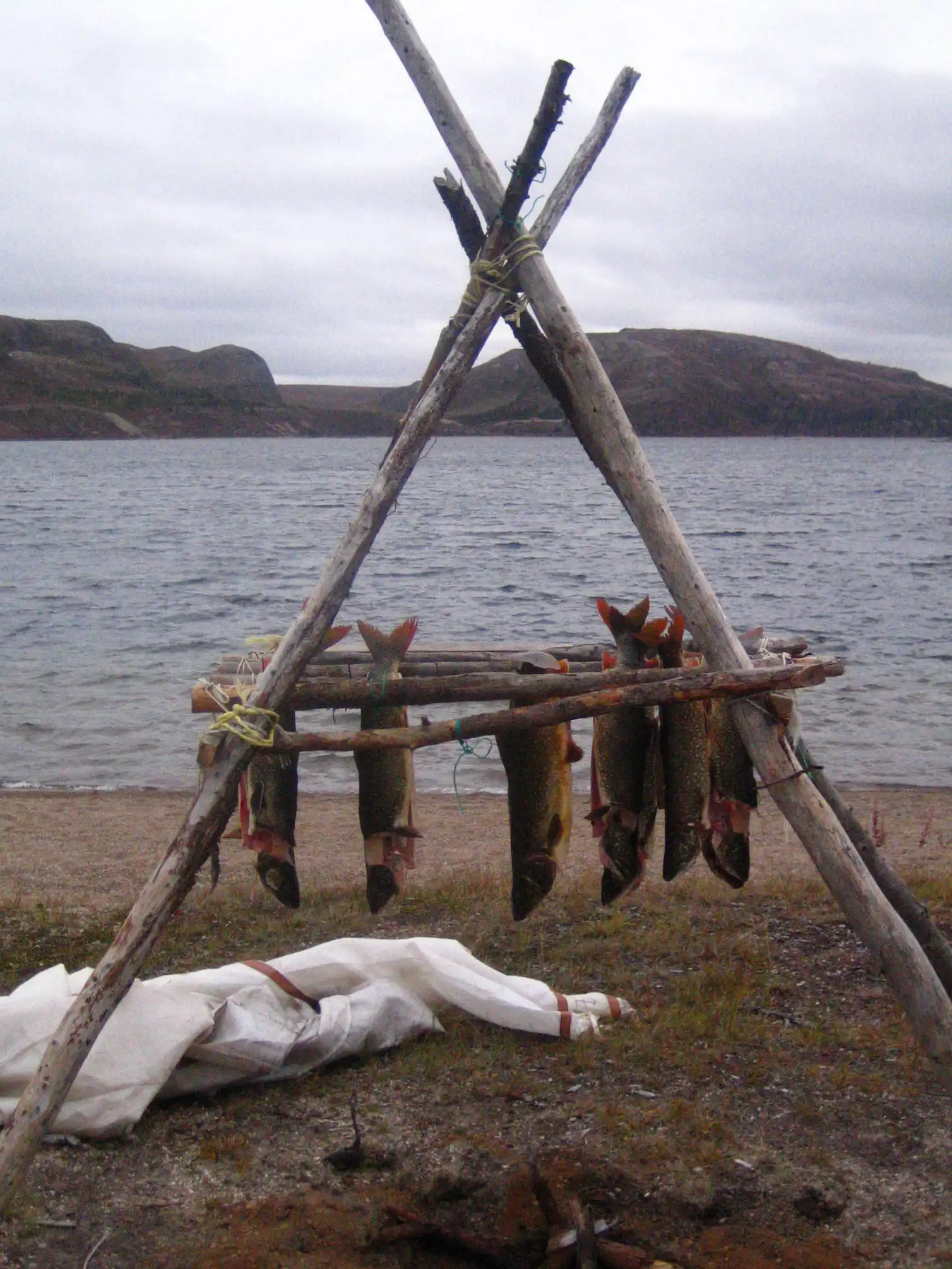 Alemesh Innu The Innu have lived in eastern Canada for thousands of years, yet their ...
