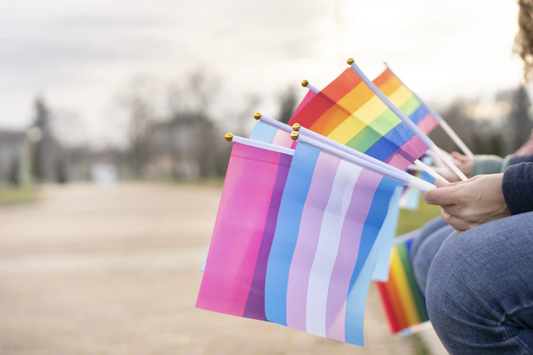 People hold a variety of flags -- including the LGBTQ rainbow flag.