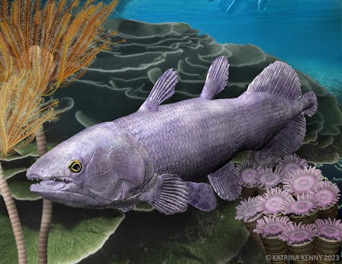 Exceptional new fish fossil sparks rethink of how Earth’s geology drives evolution