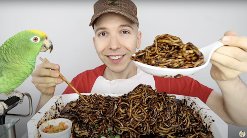 YouTuber Nikocado Avocado’s extreme weight-loss hoax isn’t admirable – it’s fatness being exploited for engagement