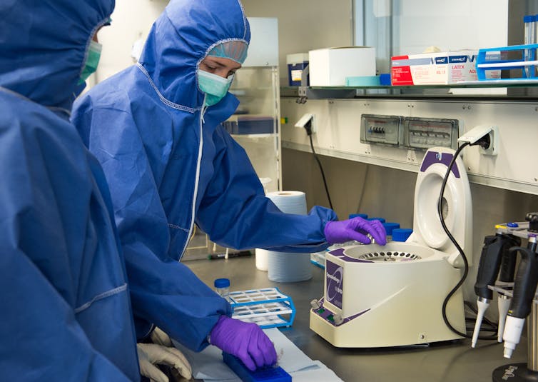 Scientists in personal protective equipment working in a laboratory