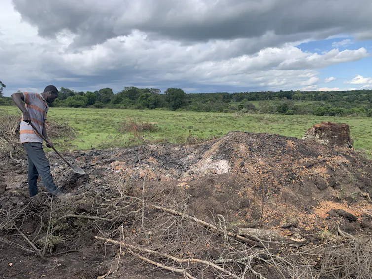 Man stokes pile of burning wood with long stick, African forest in background
