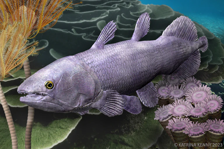 dessin d'un poisson