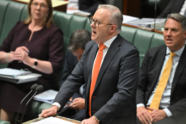 Prime Minister Anthony Albanese during Question Time