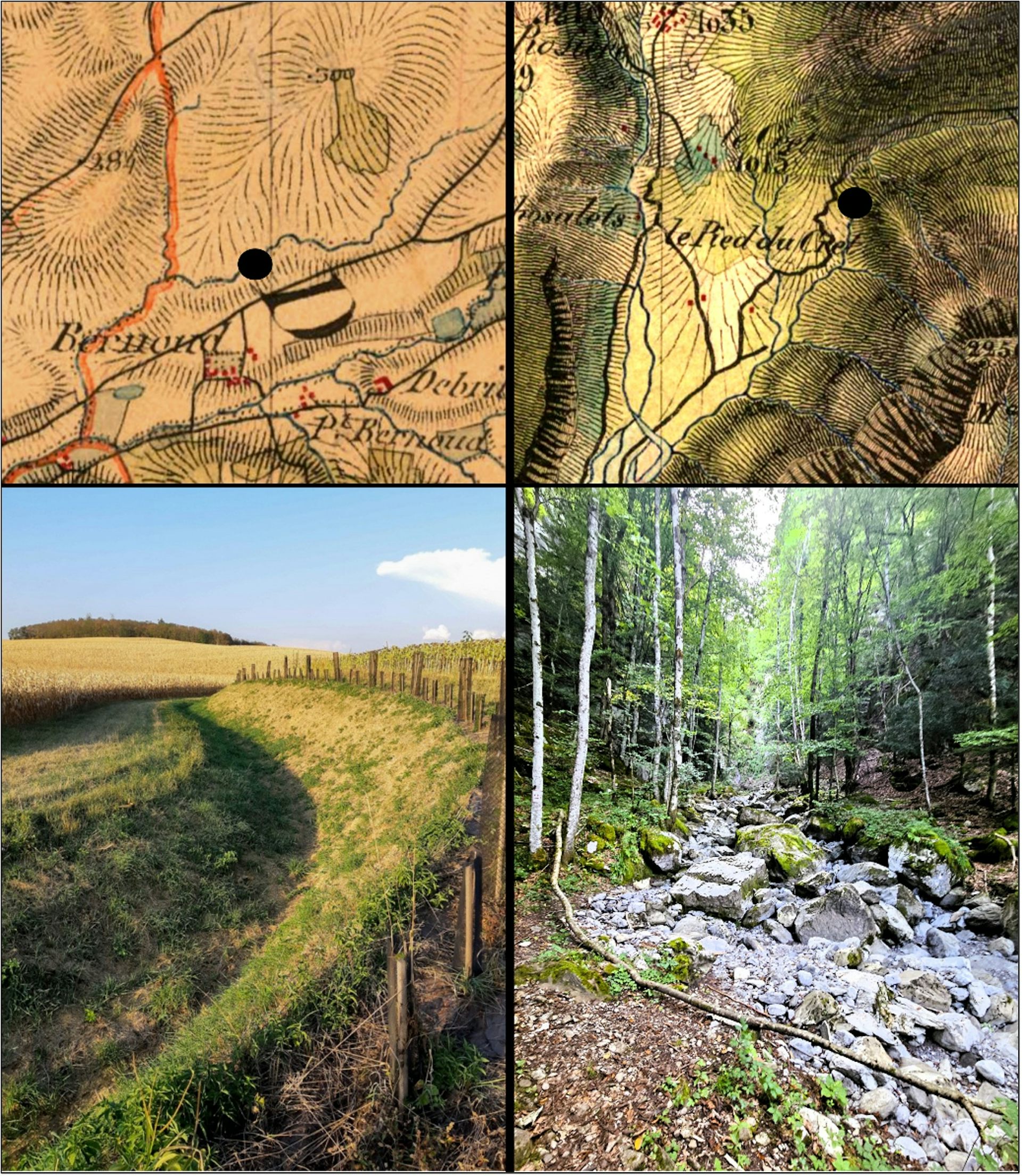 PECHE EN RUISSEAUX OU TROUVER LES TRUITES?, image size:1000x1151