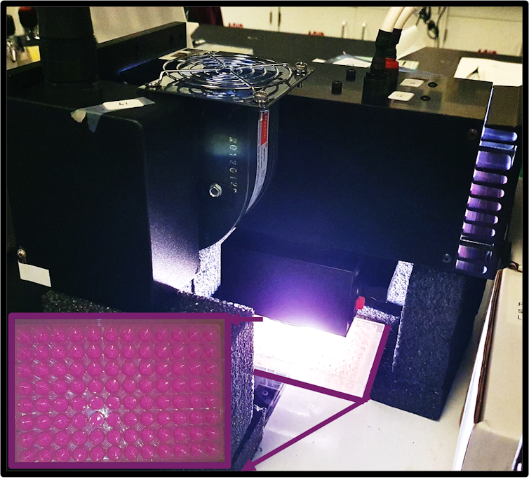 A cube-shaped metal machine with a chamber full of bright light and a plate with tubes passing beneath the light.