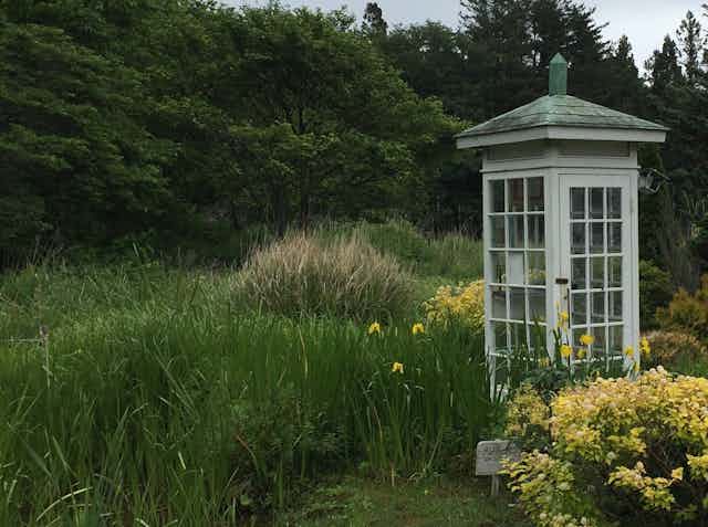 In a grassy field festooned with yellow flowers and surrounded by trees sits an old-fashioned phone booth.