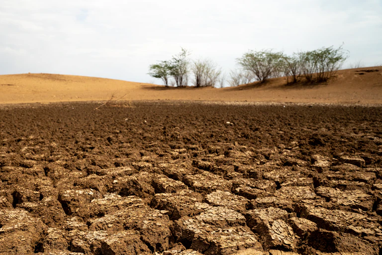paisagem de solo seco e rachado, algumas árvores no horizonte