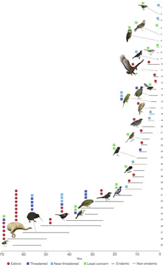 This graph shows the estimated arrival of ancestors of New Zealand's birds.