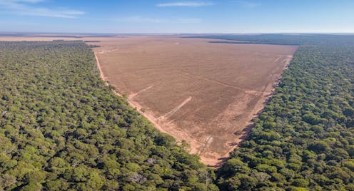National parks and other protected areas often fail to conserve Earth’s forests, research finds