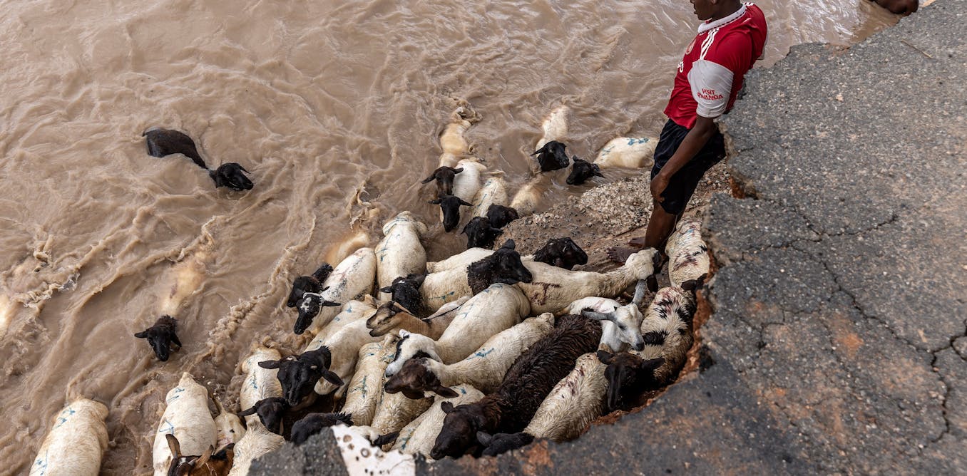 Four Ways Africa Is Already Seeing the Effects of Climate Change – and What Can Be Done About It Four Ways Africa Is Already Seeing the Effects of Climate Change – and What Can Be Done About It