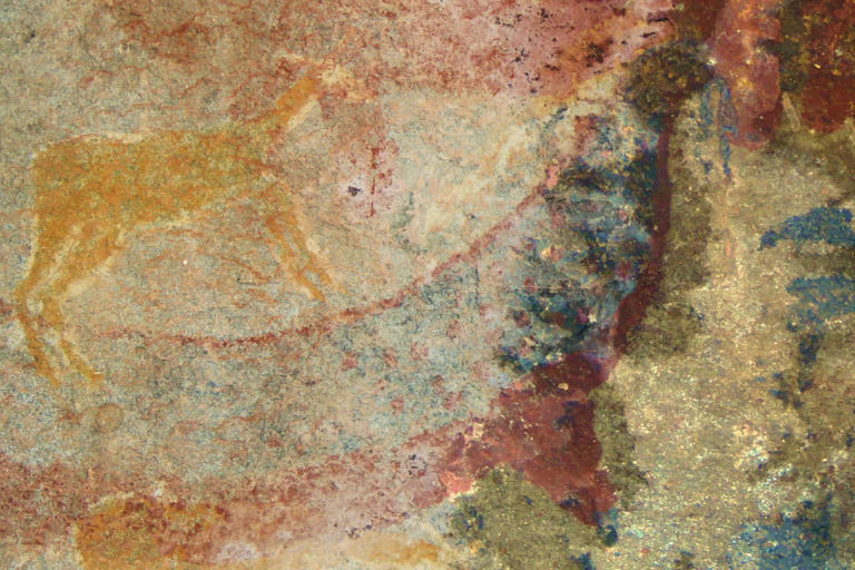 Painting of animals on rock face
