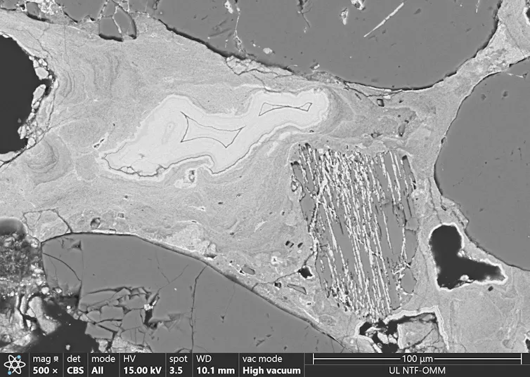 Greyscale electron microscope image of various shaded blobs.