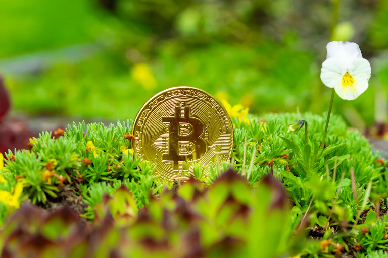 A piece of bitcoin among some grass and flowers