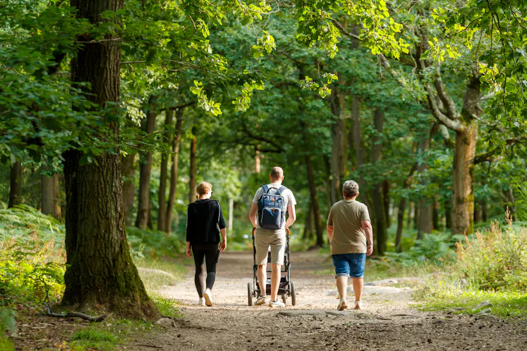 Family walks through a forest
