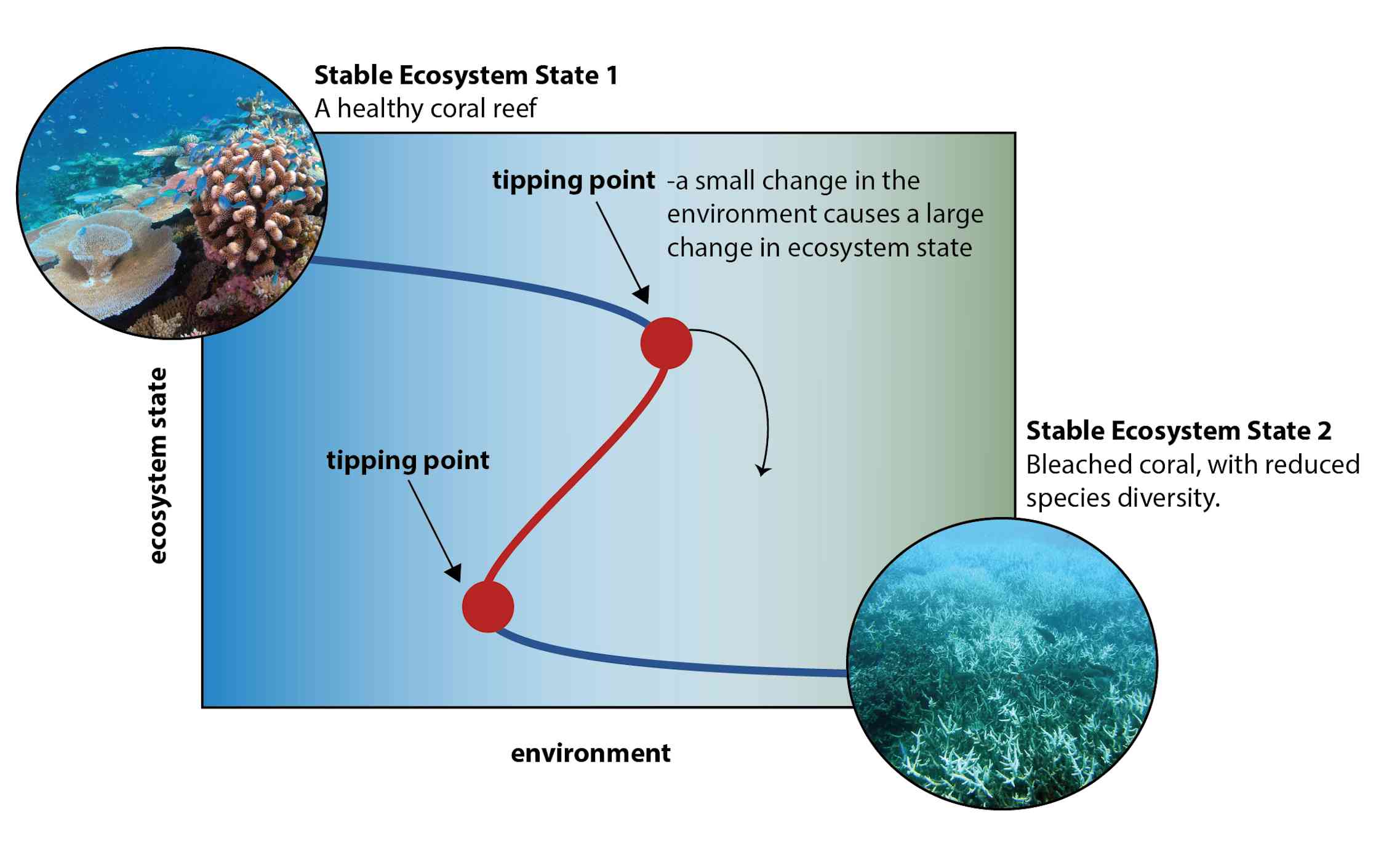 How do ecosystems collapse? Our study shows evolution plays a role ...