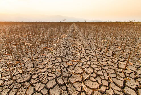 How do ecosystems collapse? Our study shows evolution plays a role – and can delay a disaster