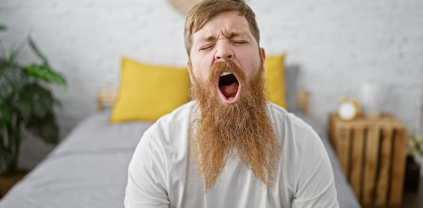 La ciencia del bostezo: no me aburres, estoy enfriando el cerebro