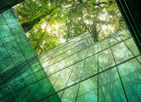 Businesses that try to come clean about their impact on nature can end up concealing more than they reveal