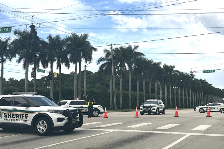 police cars parked on a road flanked by palm trees
