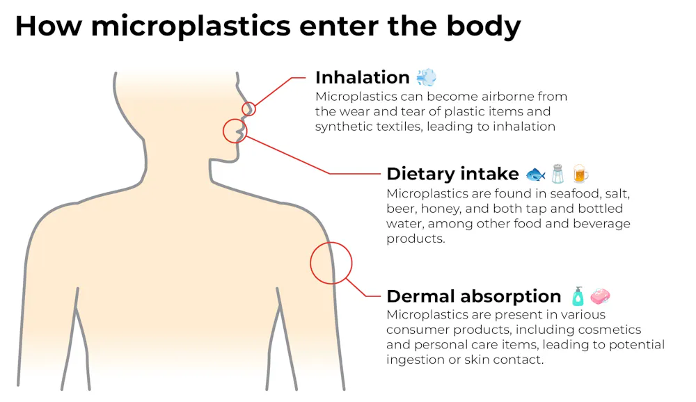 Scientists reviewed 7,000 studies on microplastics. Their alarming ...