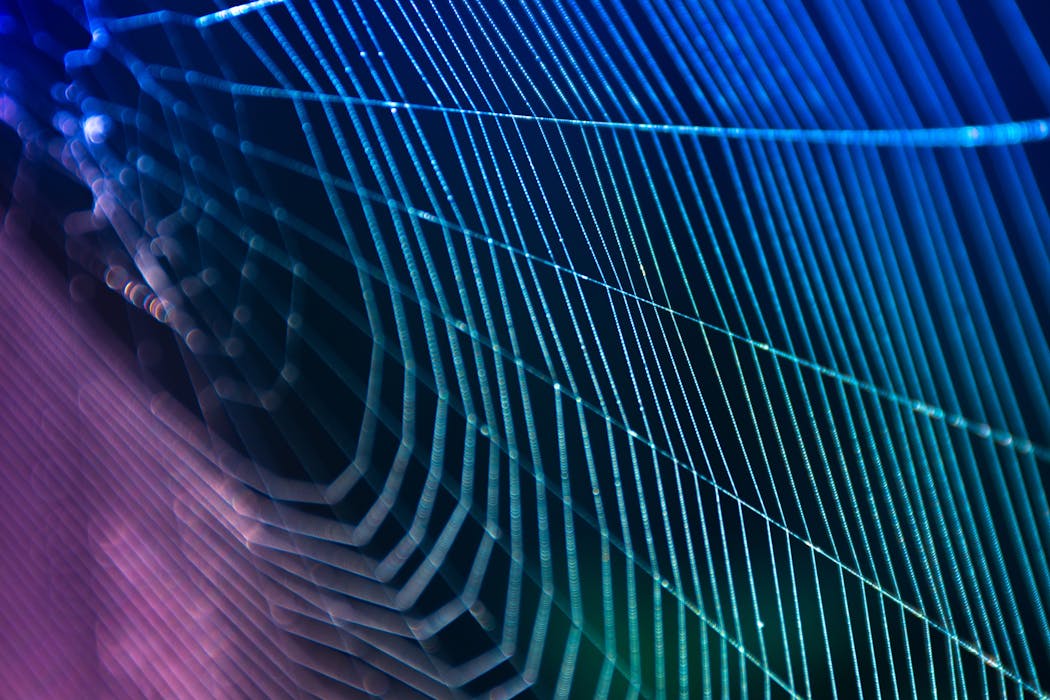 How did they get my data? I uncovered the hidden web of networks behind telemarketers