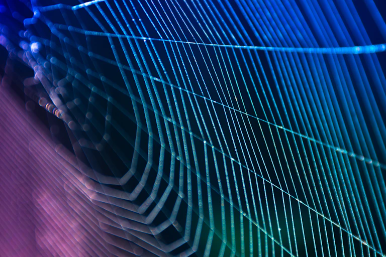 Neon-lit spider web.