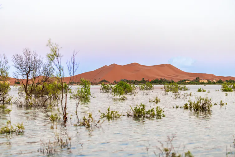 Floodwaters with shrubs poking through. Mountain in background