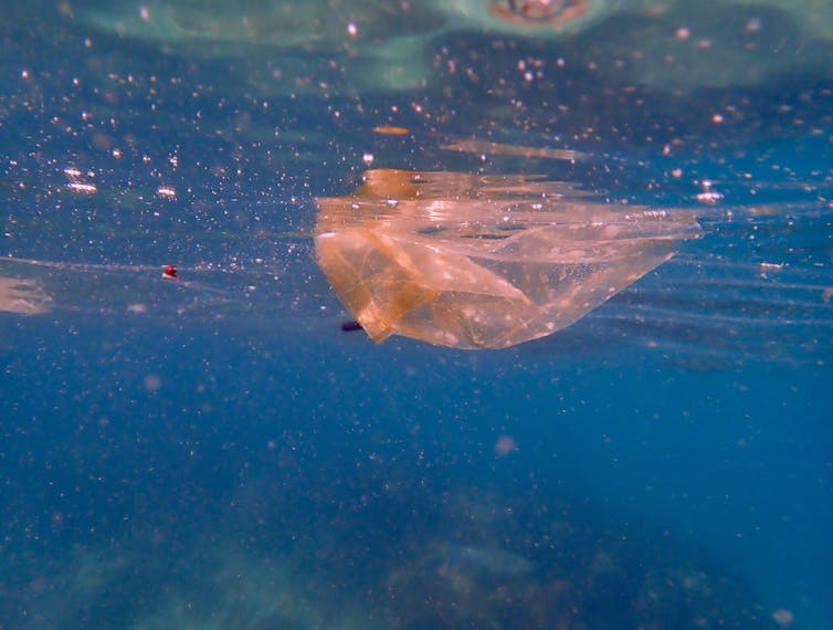 plastic bag and fragments in water
