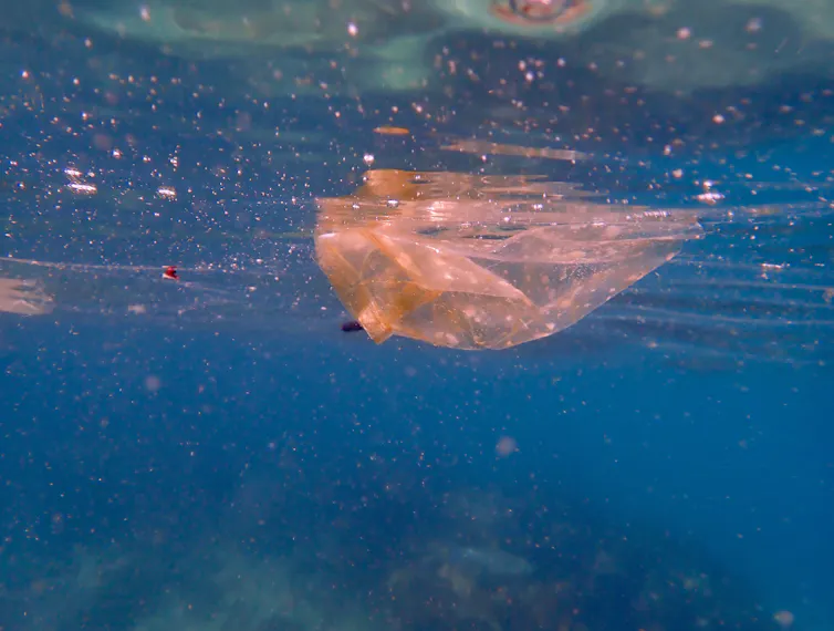 plastic bag and fragments in water