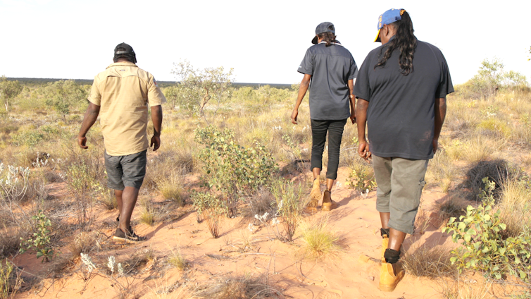 Three people walking across sandy Country looking for signs of animal activity