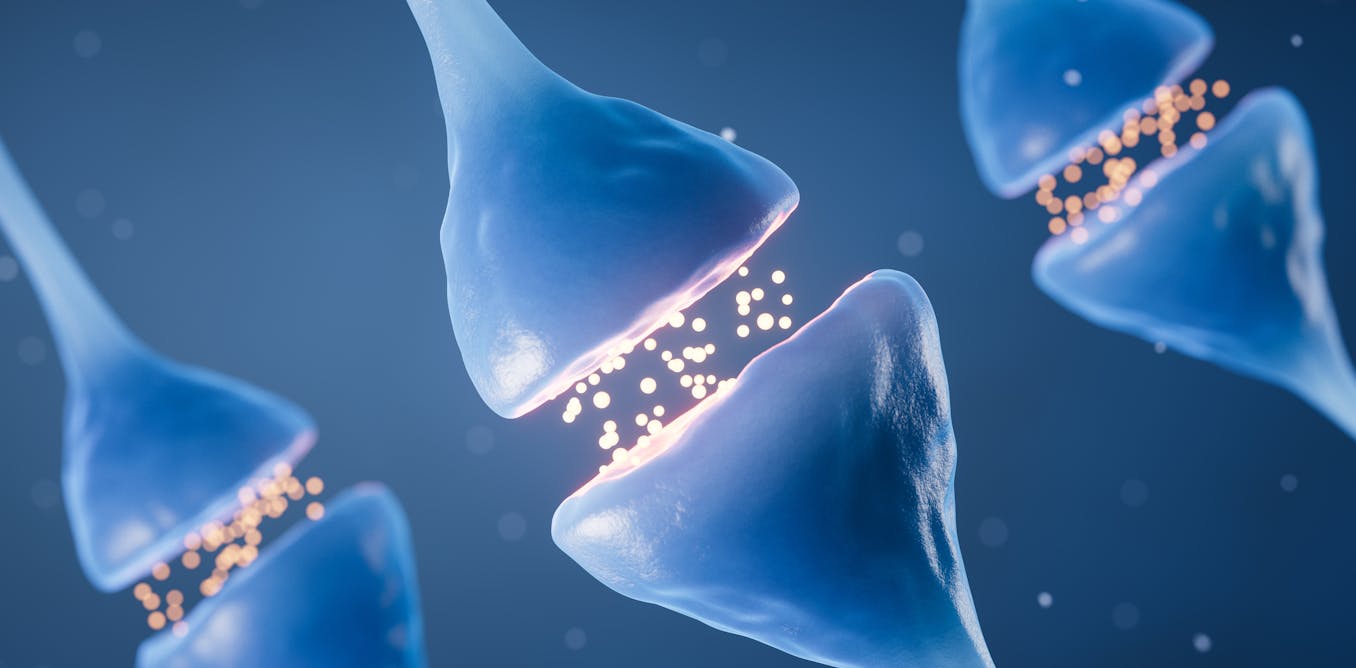 Atajos hacia el placer: la peligrosa cara oculta de la “hormona de la felicidad”