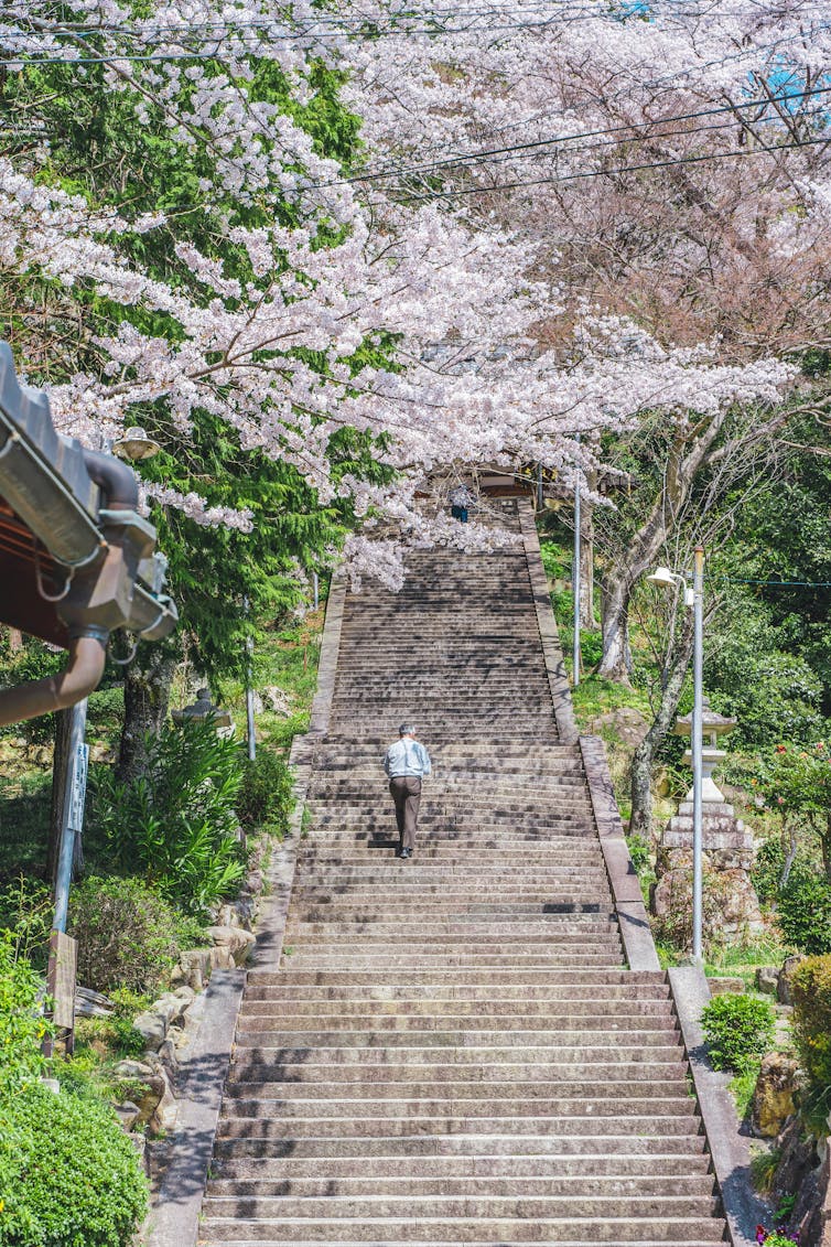 An older man climbs some stairs alone.