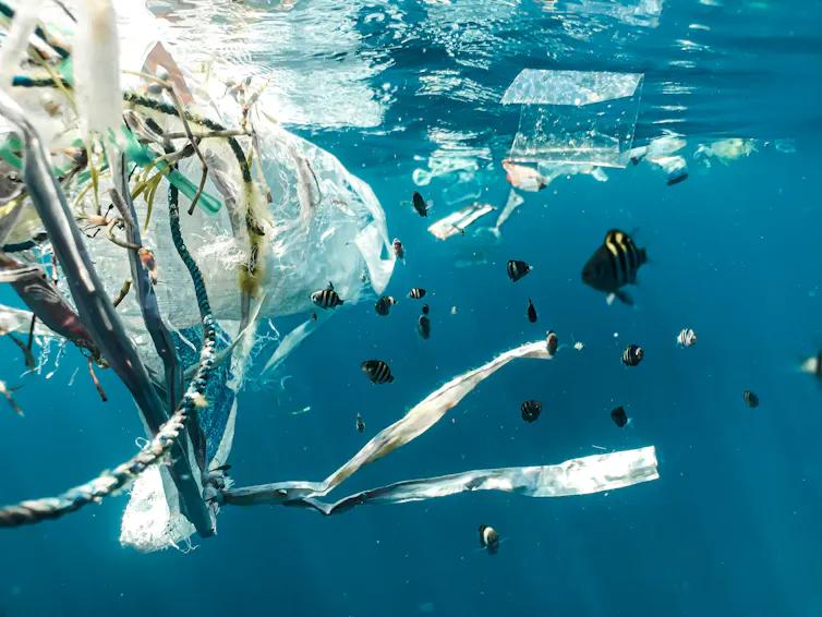 poisson qui nage à côté de plastique dans la mer