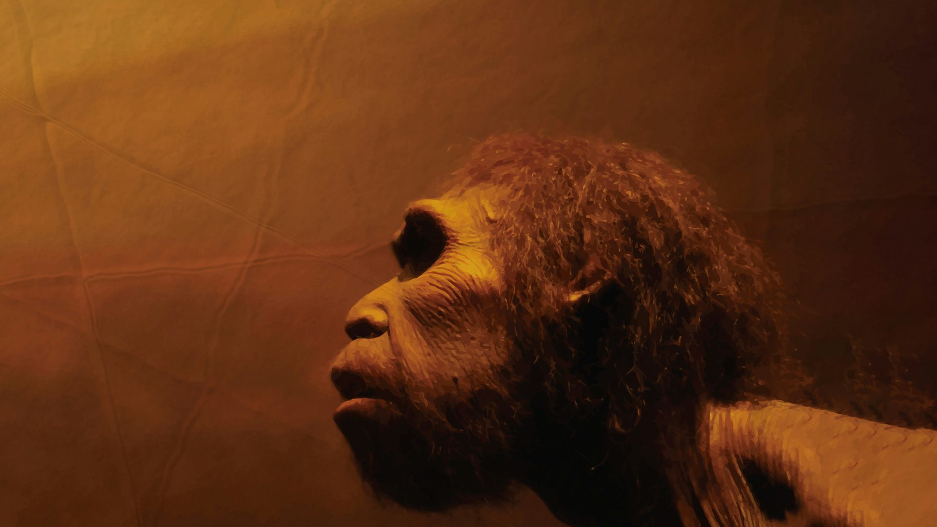 Temuan di Tanimbar: Mengungkap jejak migrasi manusia purba ke Nusantara